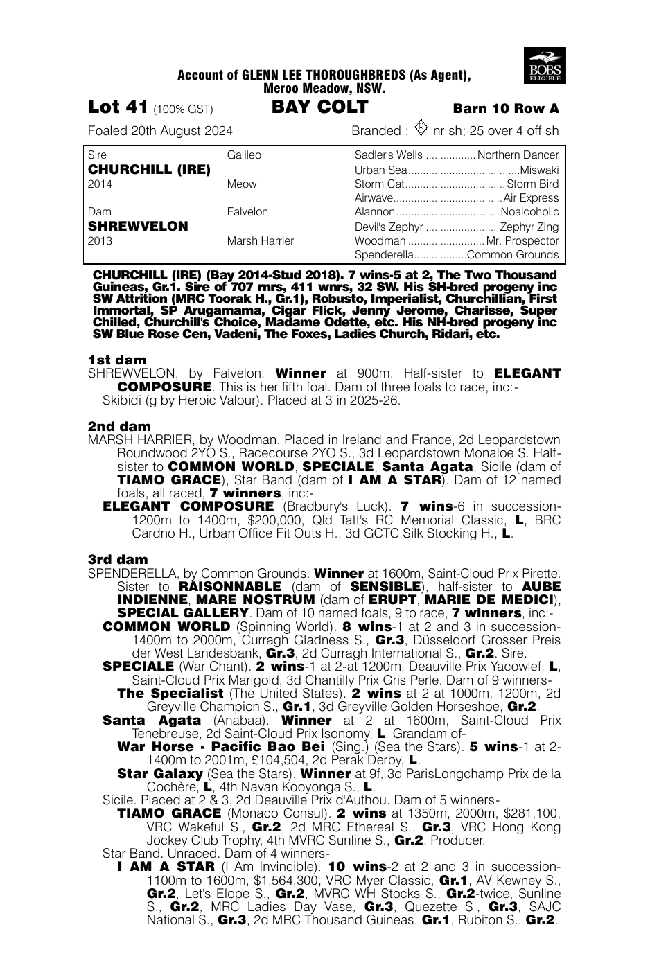 Pedigree - Lot 41