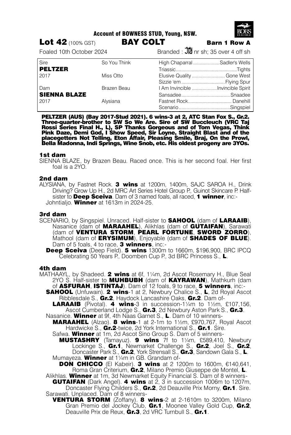 Pedigree - Lot 42