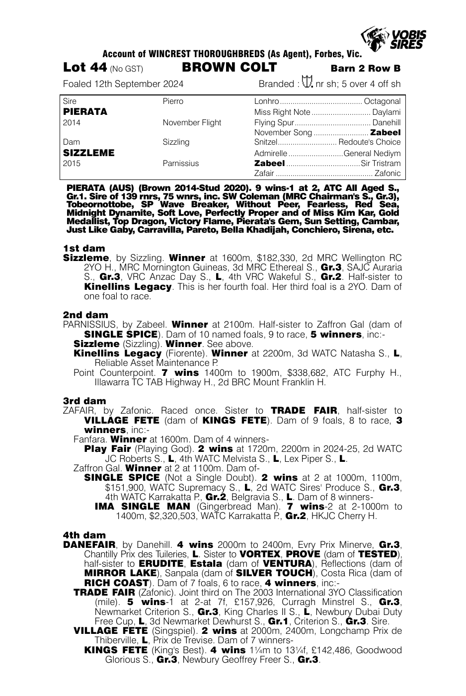 Pedigree - Lot 44