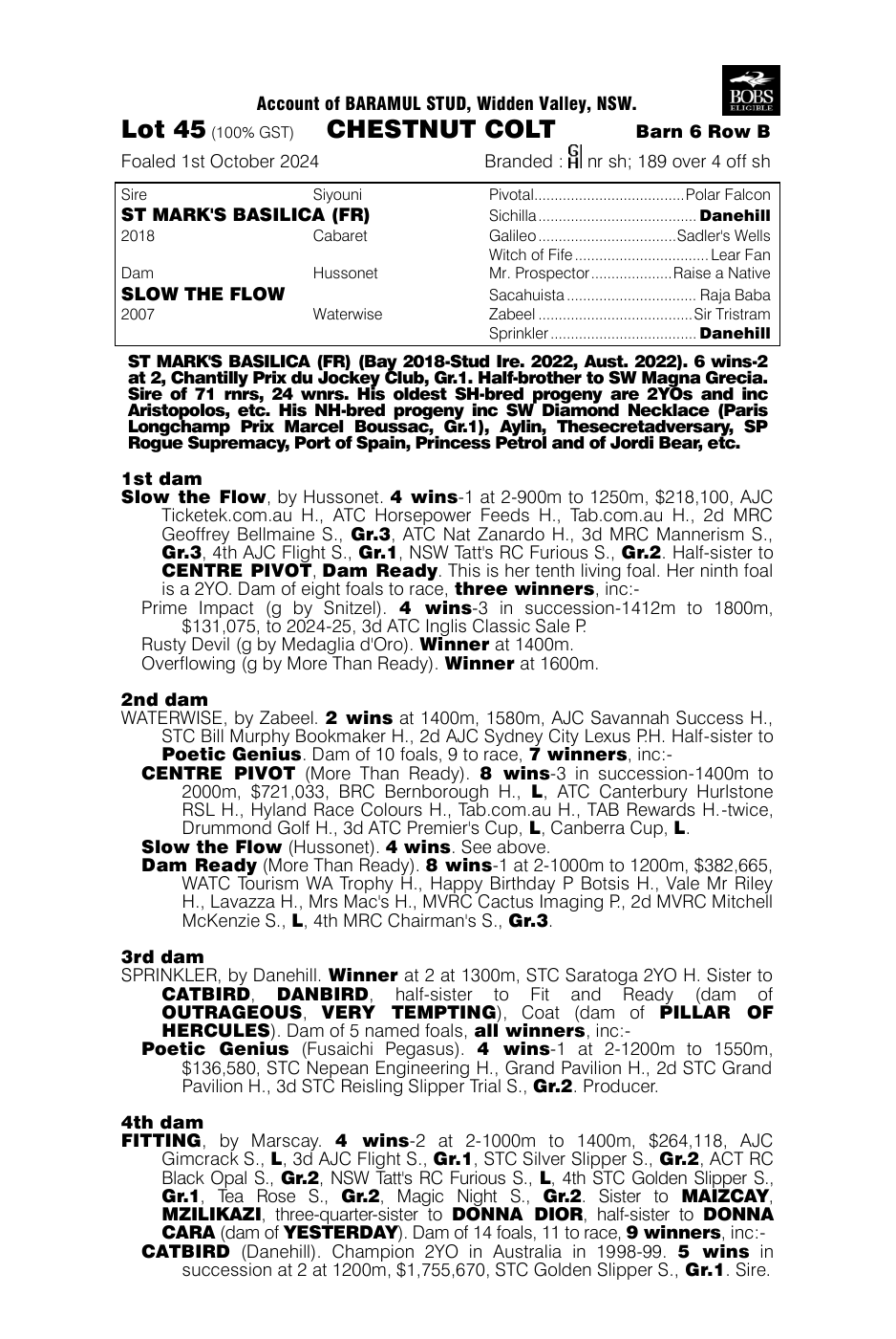 Pedigree - Lot 45