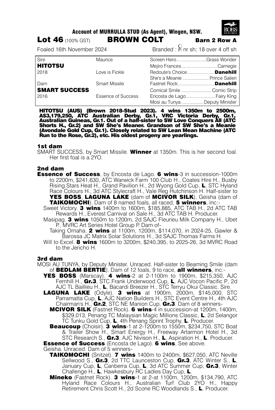 Pedigree - Lot 46