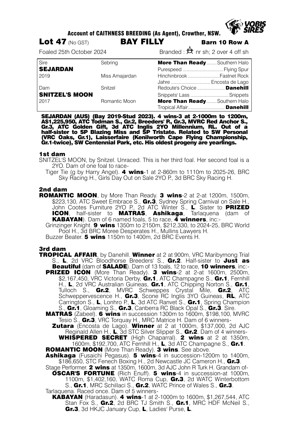 Pedigree - Lot 47