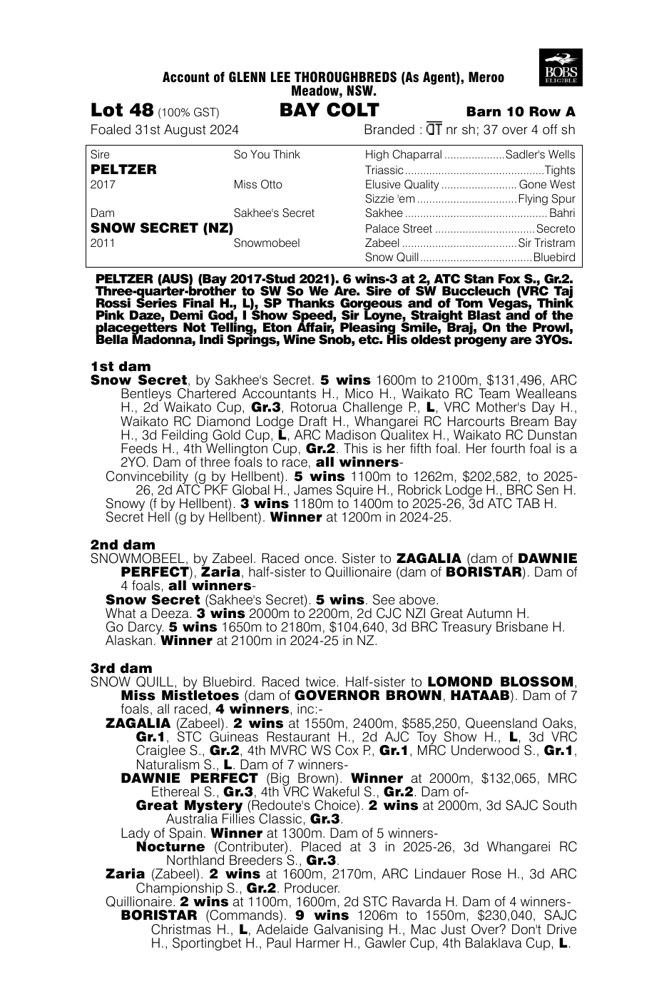 Pedigree - Lot 48