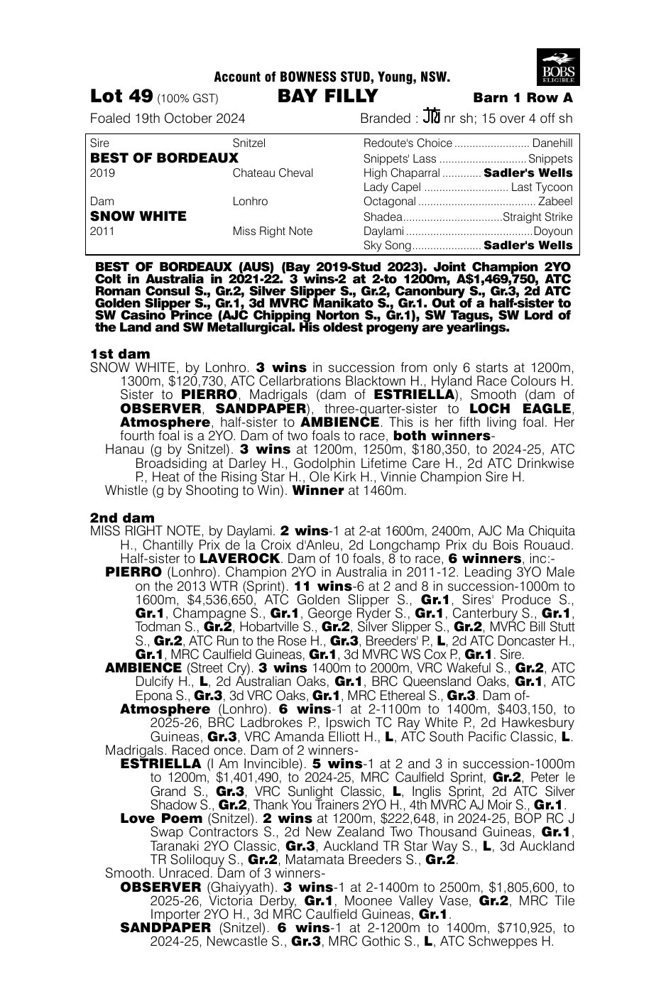 Pedigree - Lot 49