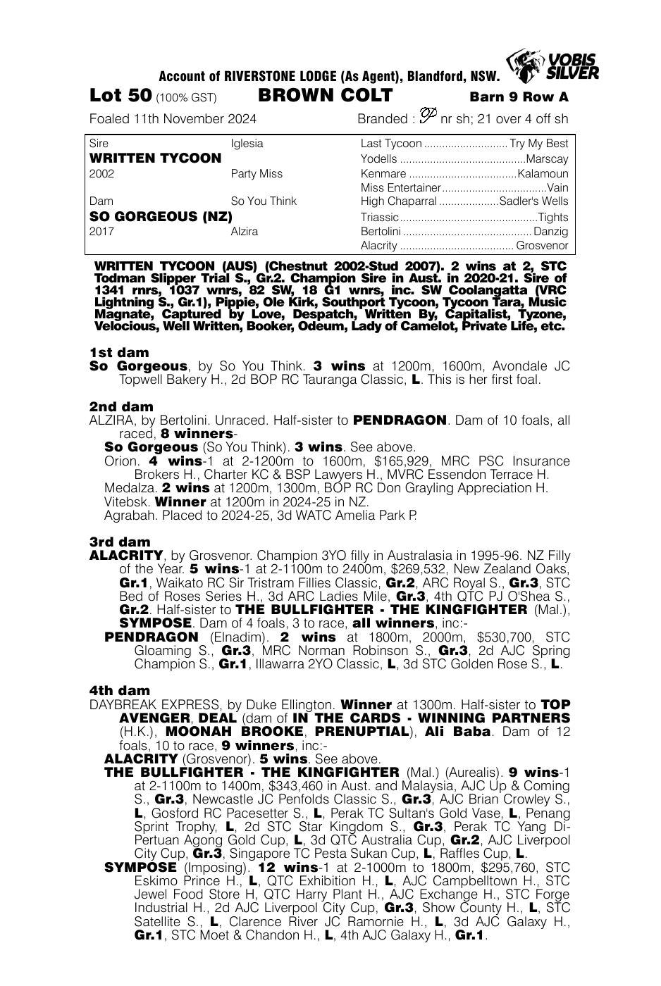 Pedigree - Lot 50