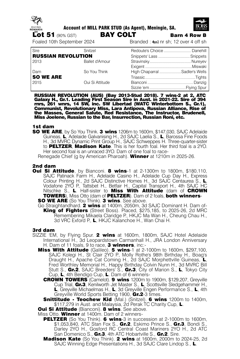 Pedigree - Lot 51