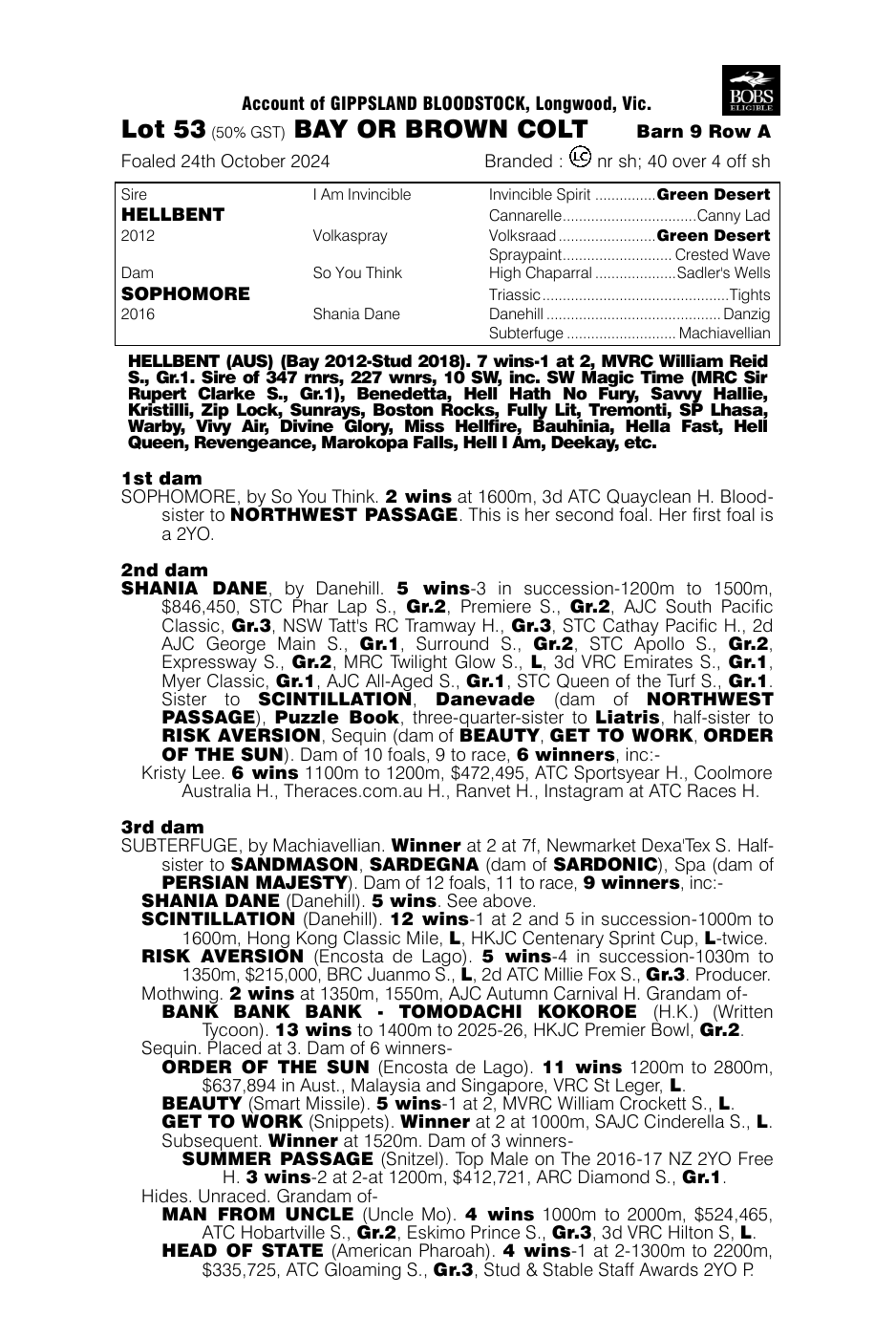 Pedigree - Lot 53