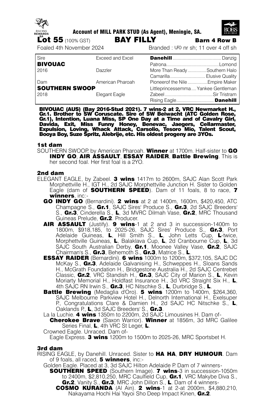 Pedigree - Lot 55