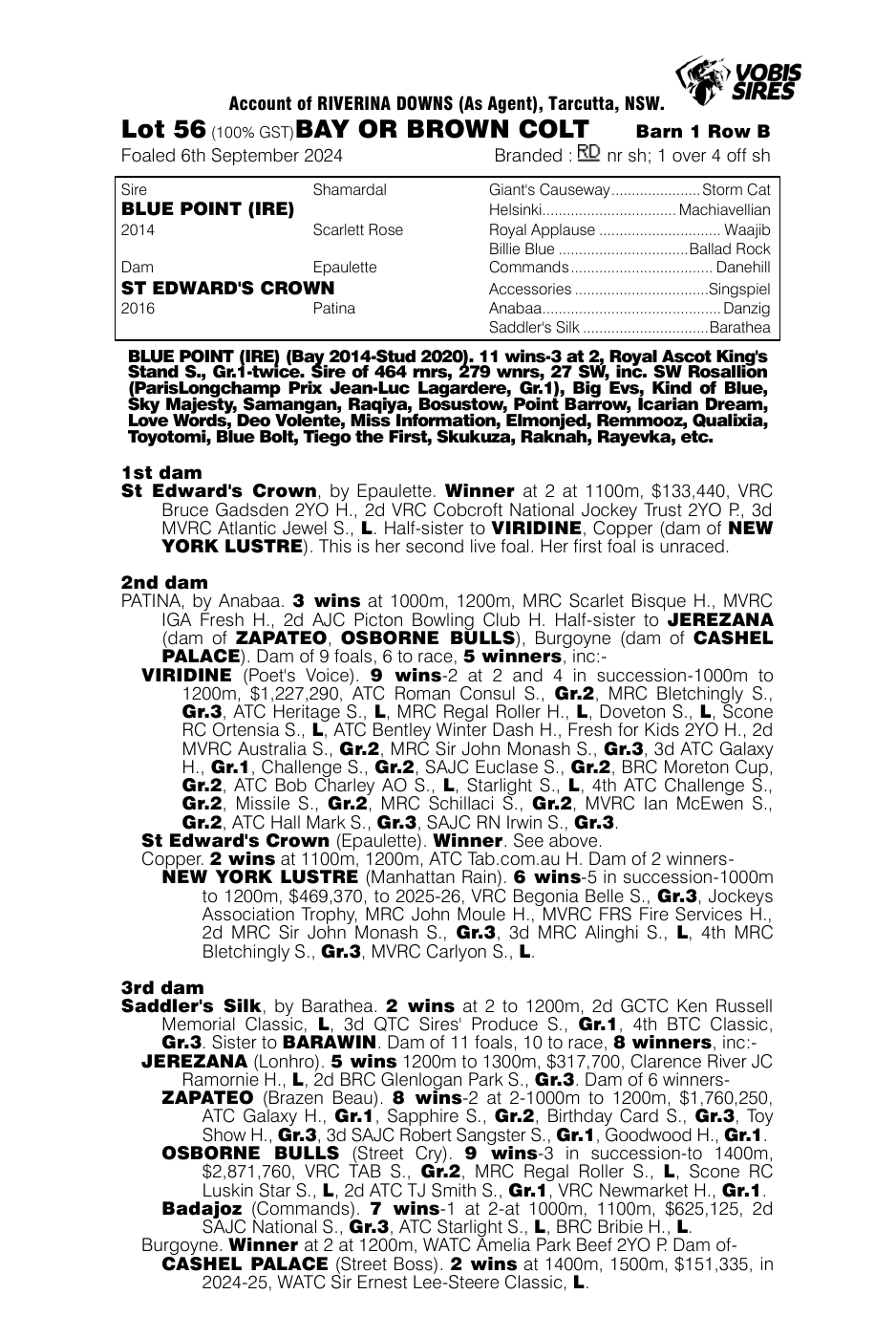 Pedigree - Lot 56
