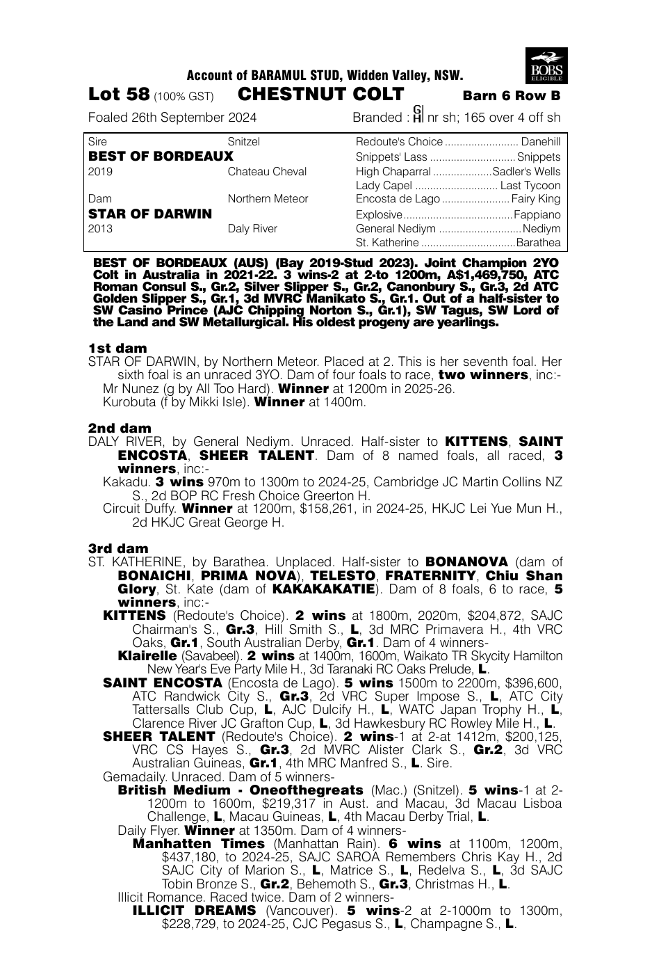 Pedigree - Lot 58