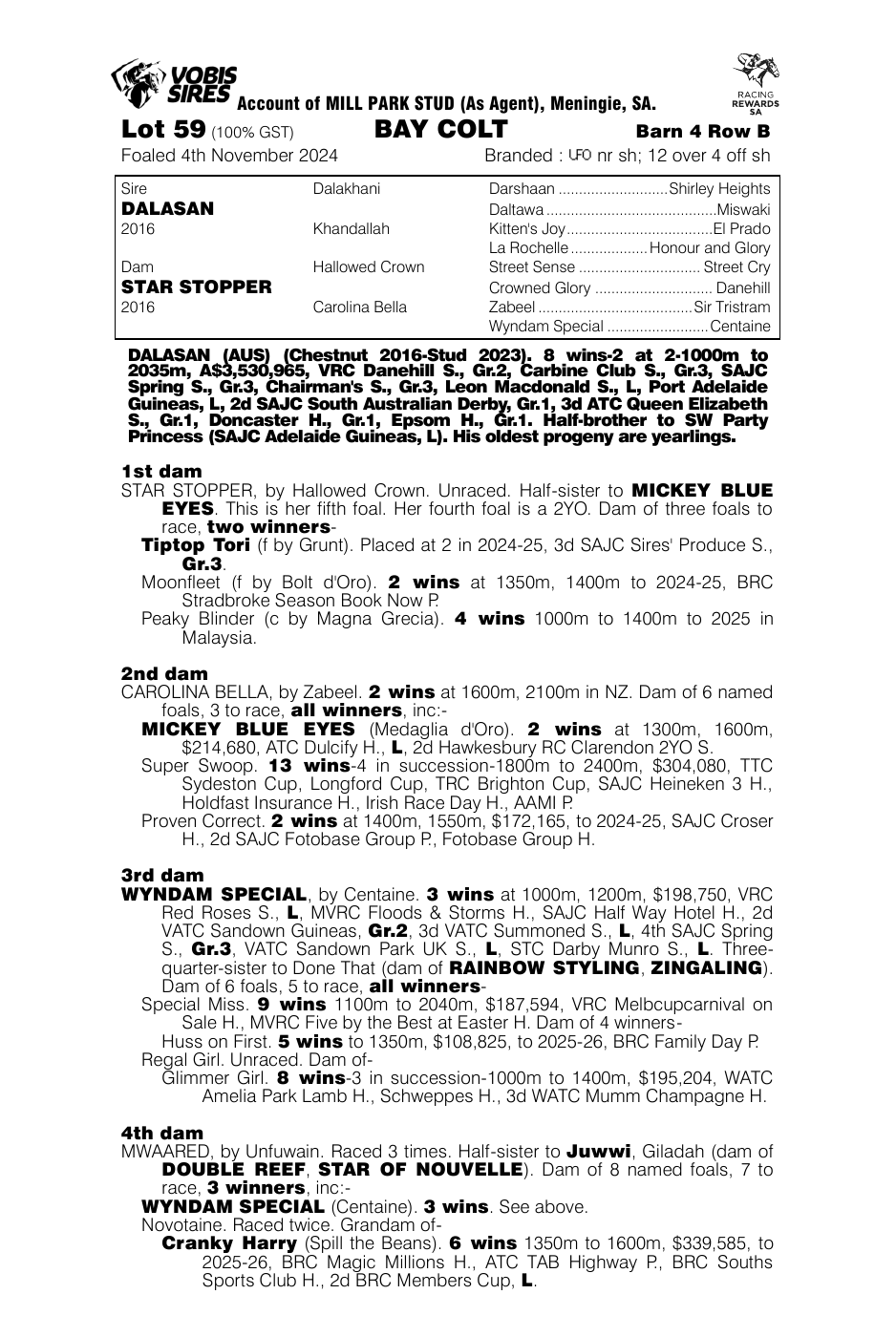 Pedigree - Lot 59