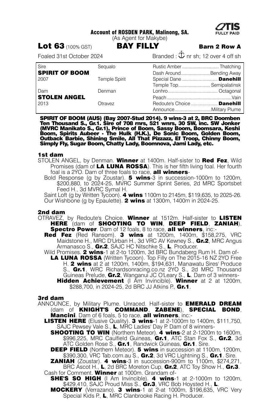 Pedigree - Lot 63