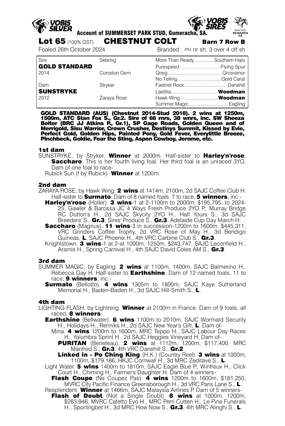 Pedigree - Lot 65