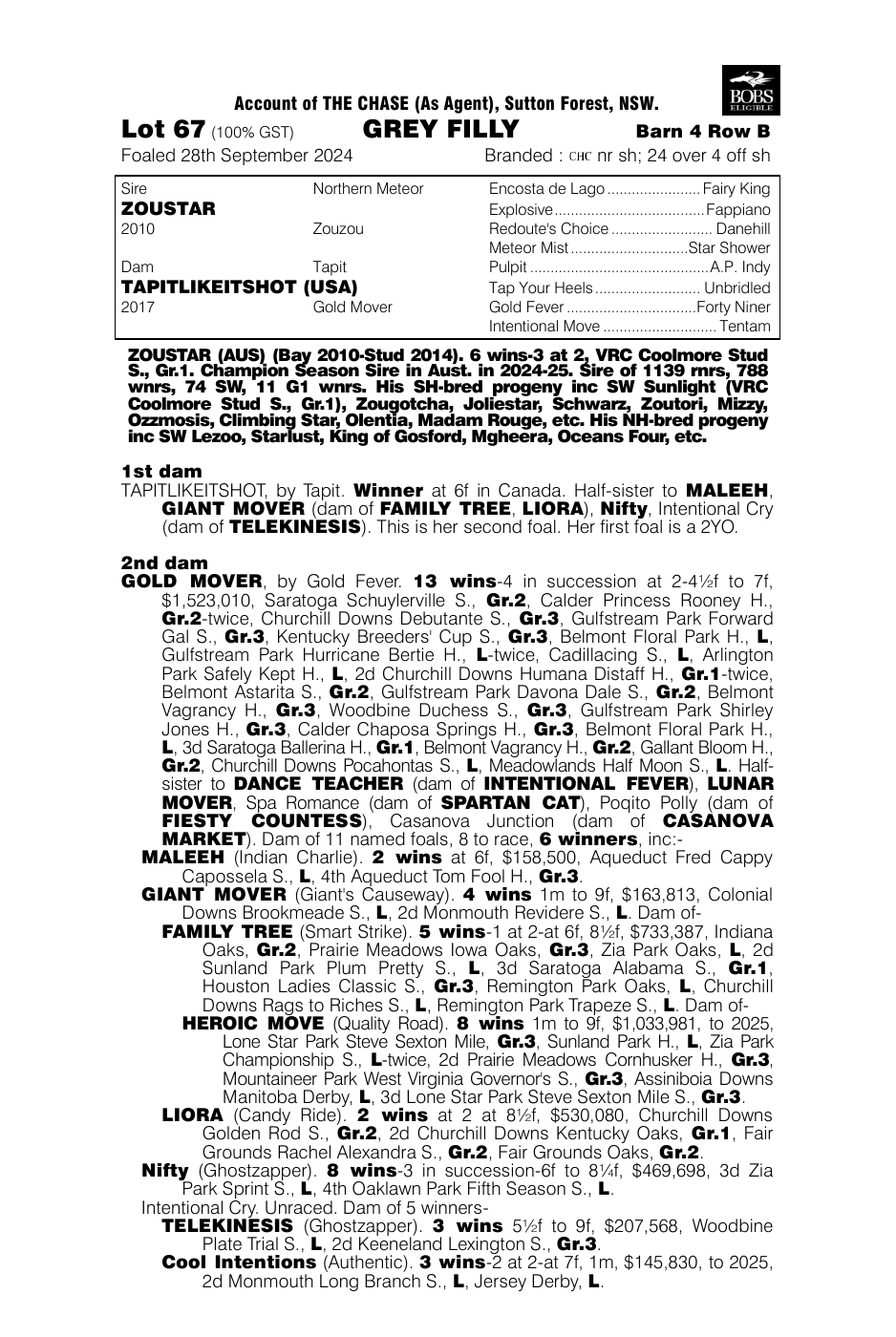 Pedigree - Lot 67