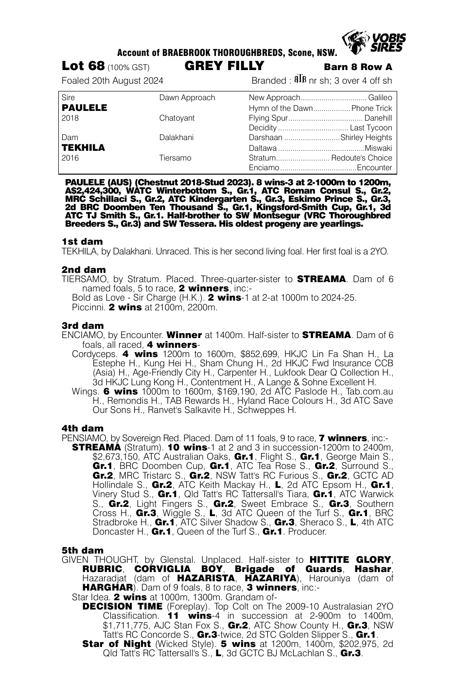 Pedigree - Lot 68