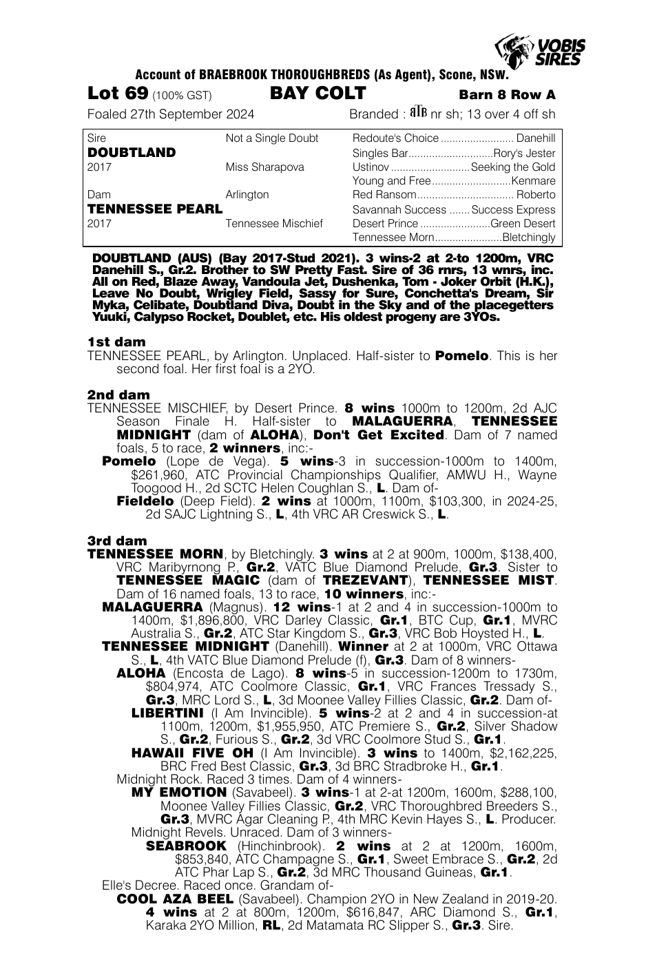Pedigree - Lot 69