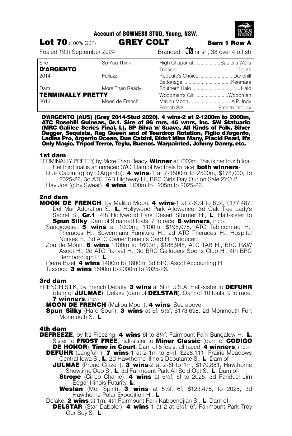 Pedigree - Lot 70