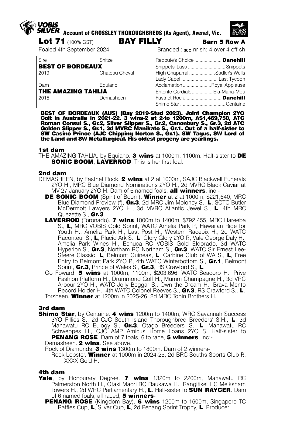 Pedigree - Lot 71