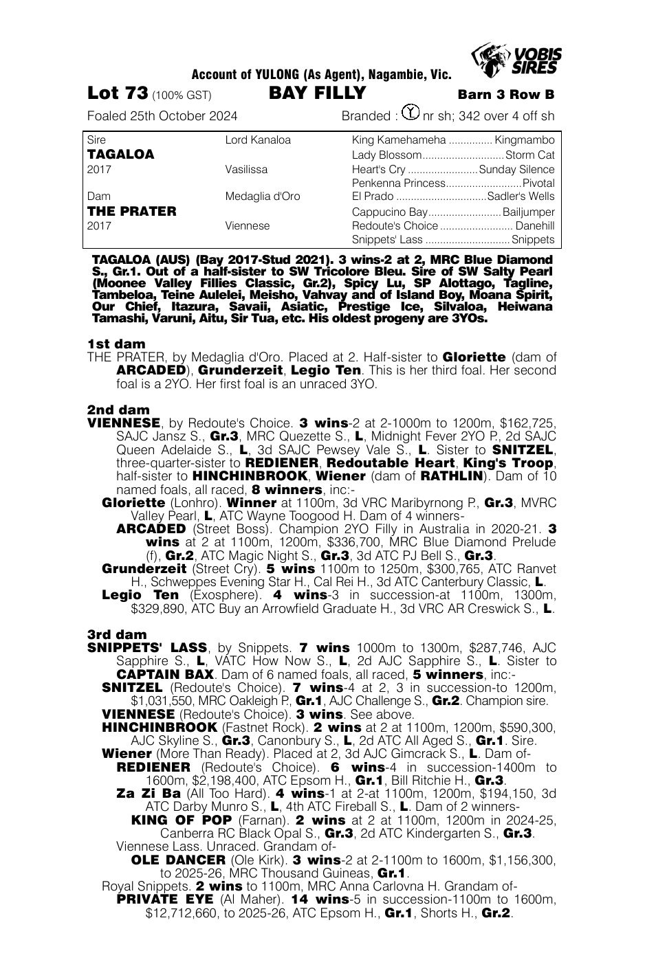 Pedigree - Lot 73