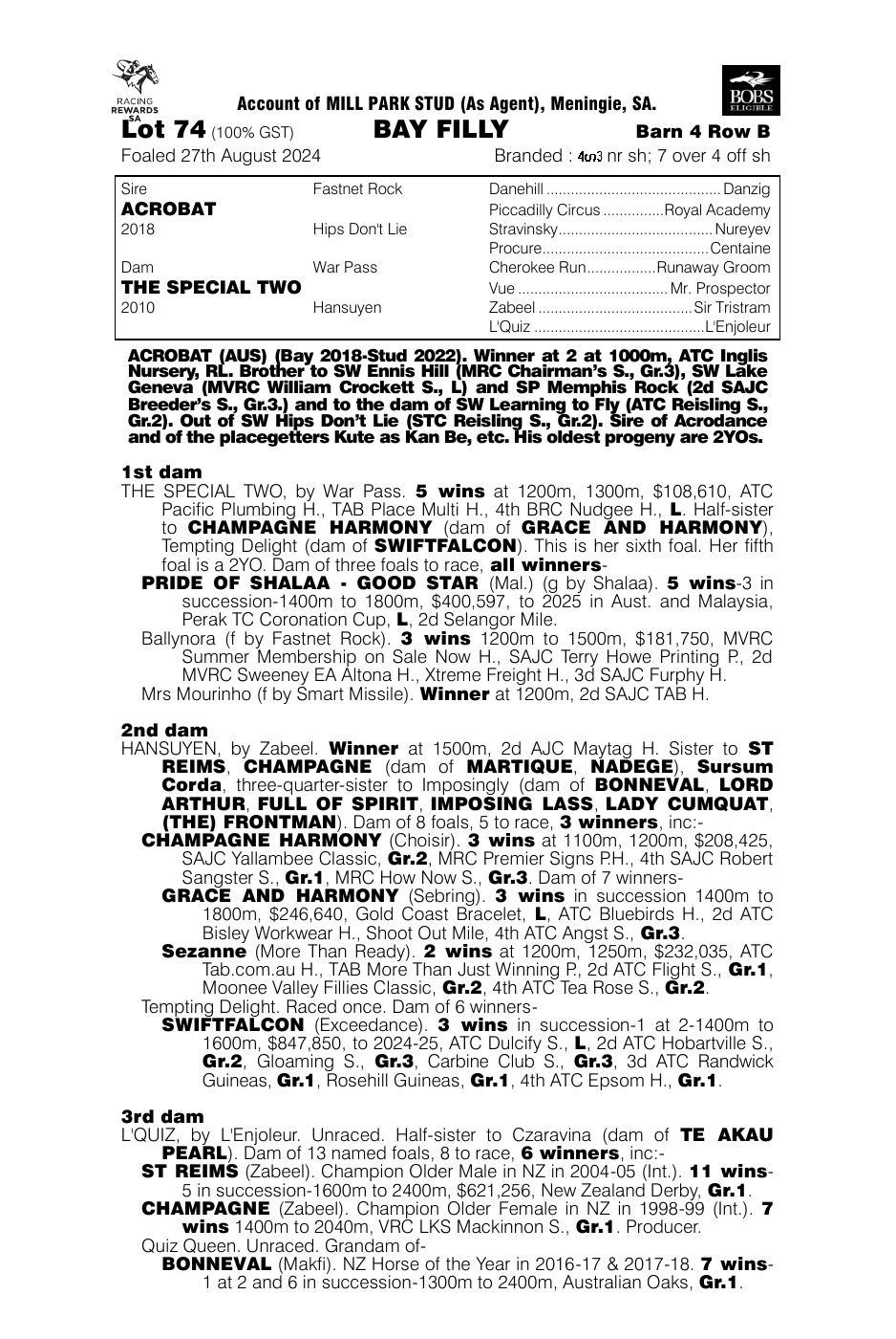 Pedigree - Lot 74