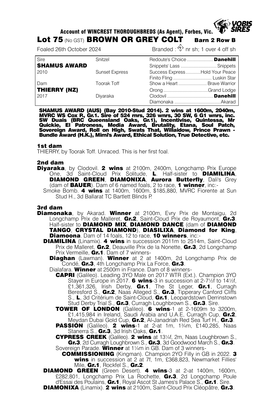 Pedigree - Lot 75