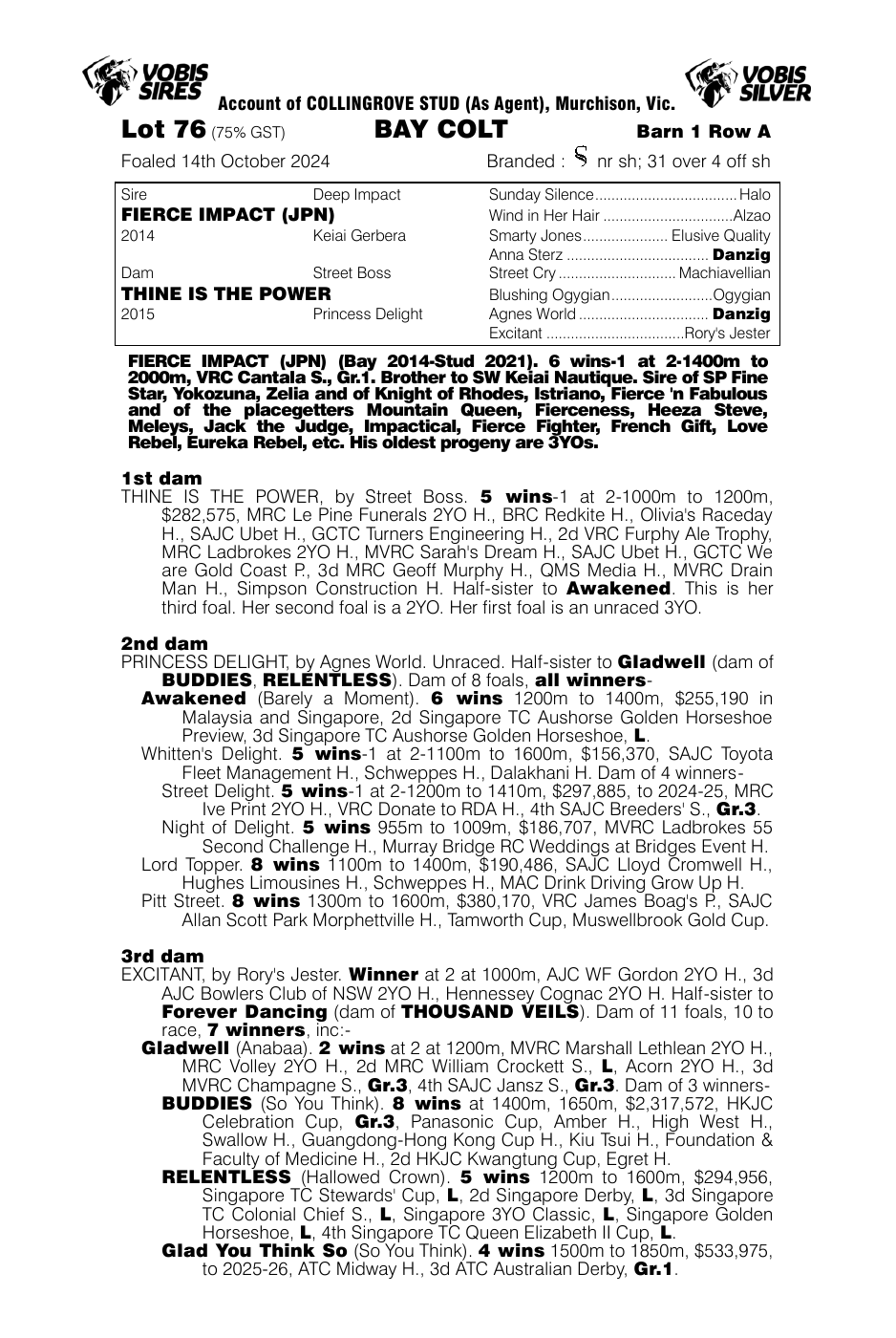 Pedigree - Lot 76