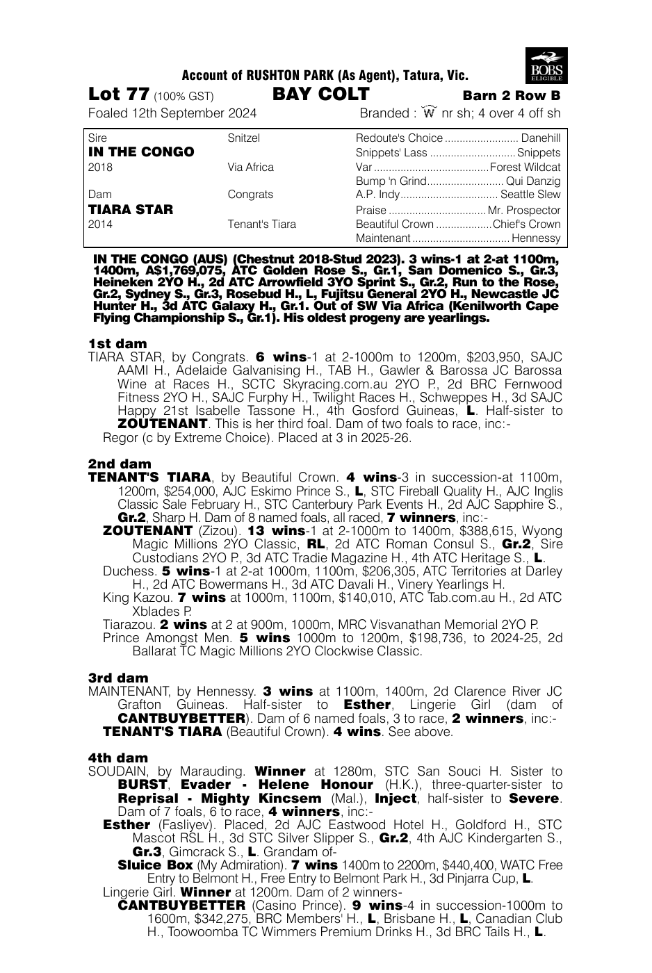 Pedigree - Lot 77