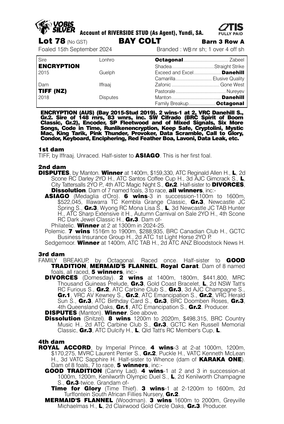 Pedigree - Lot 78