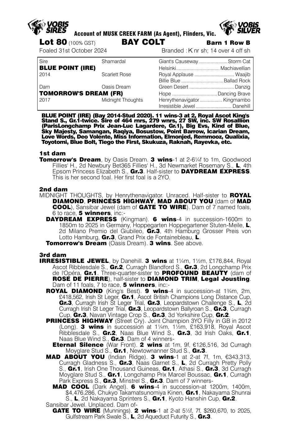 Pedigree - Lot 80