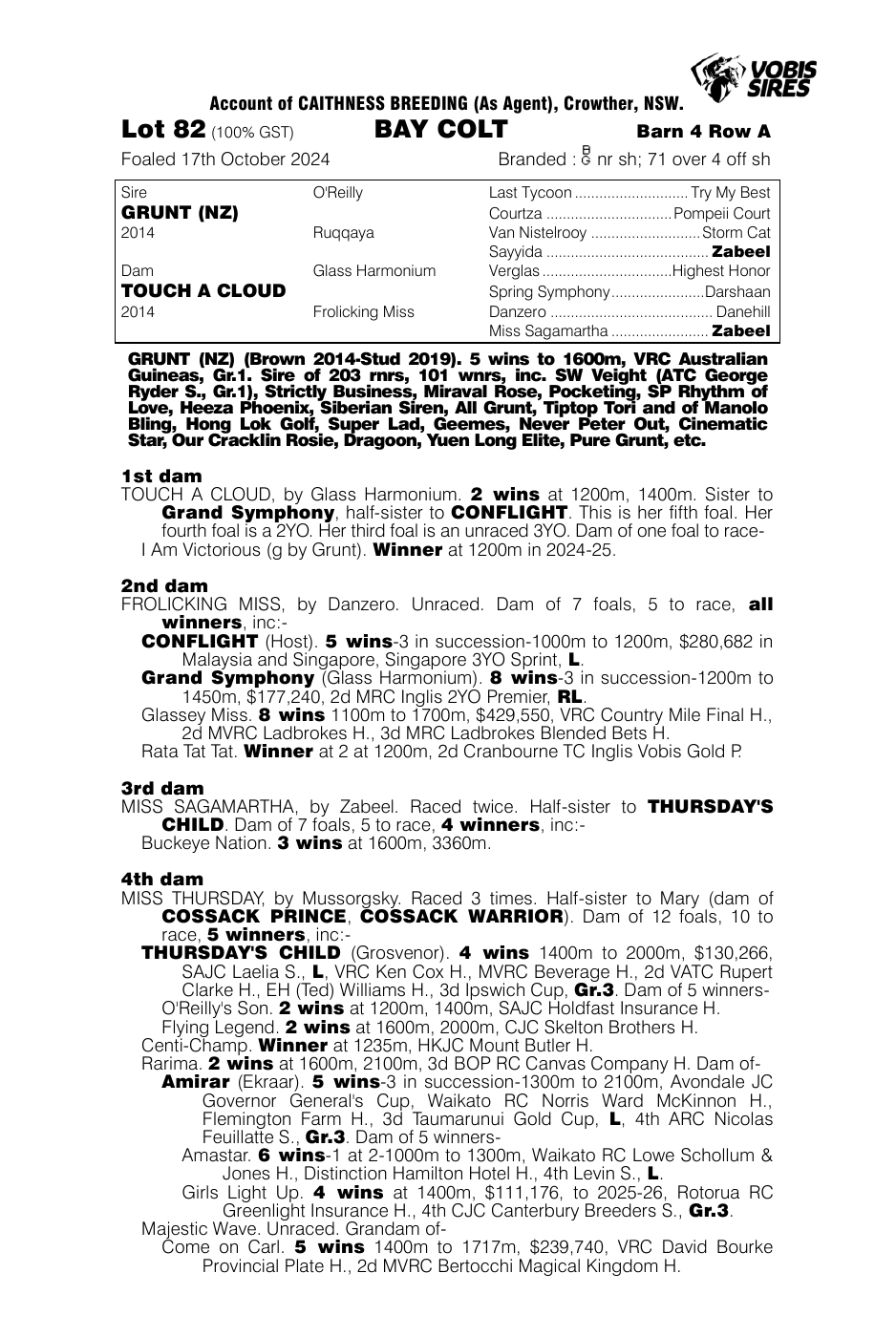 Pedigree - Lot 82