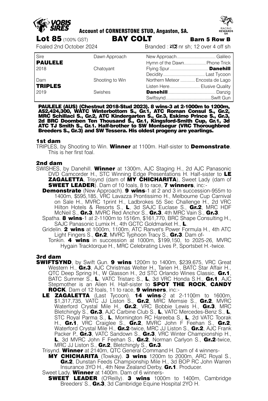 Pedigree - Lot 85