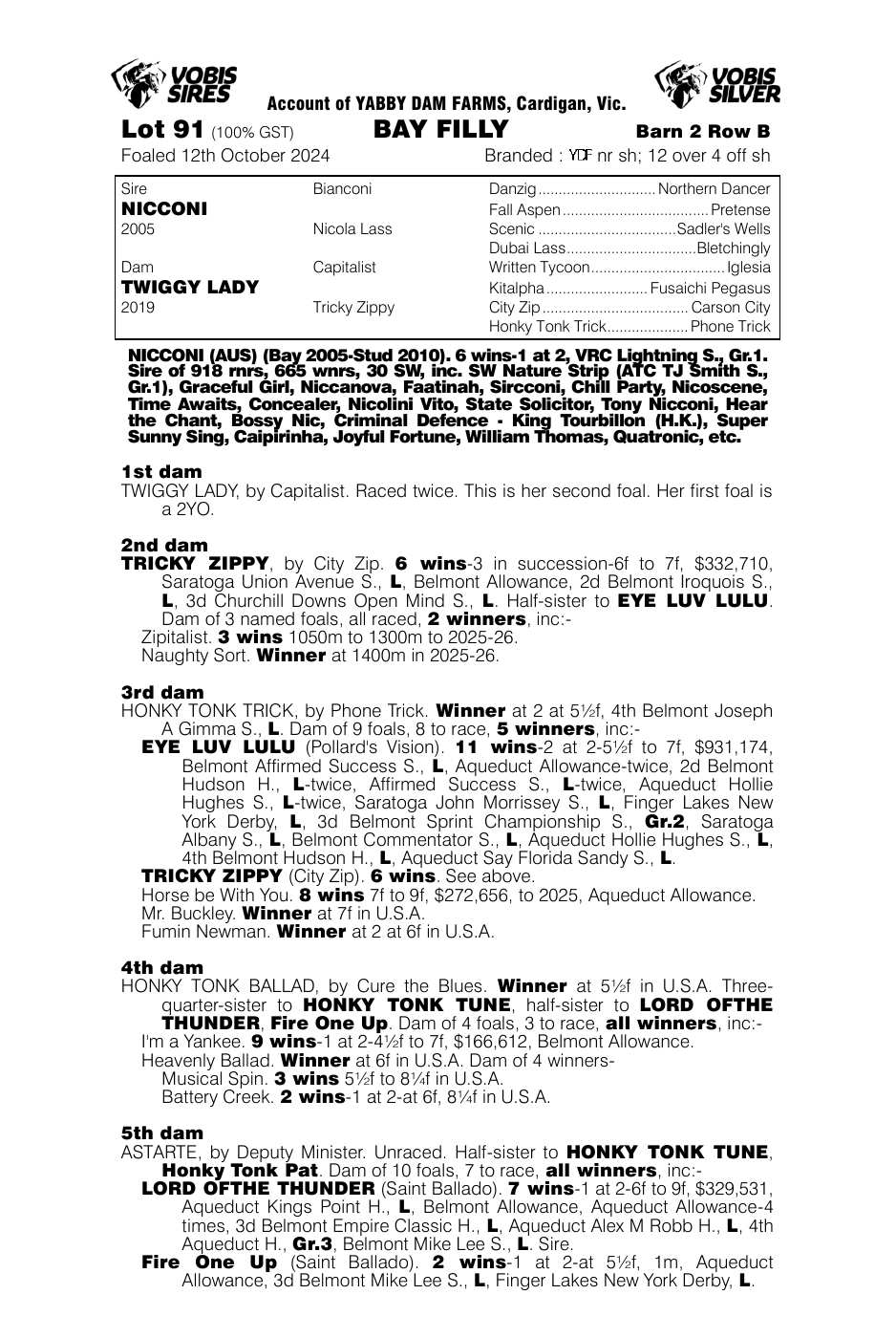 Pedigree - Lot 91