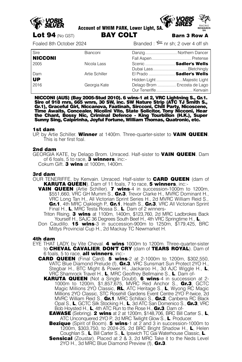 Pedigree - Lot 94