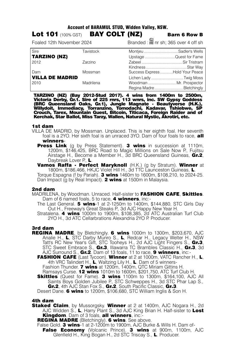 Pedigree - Lot 101