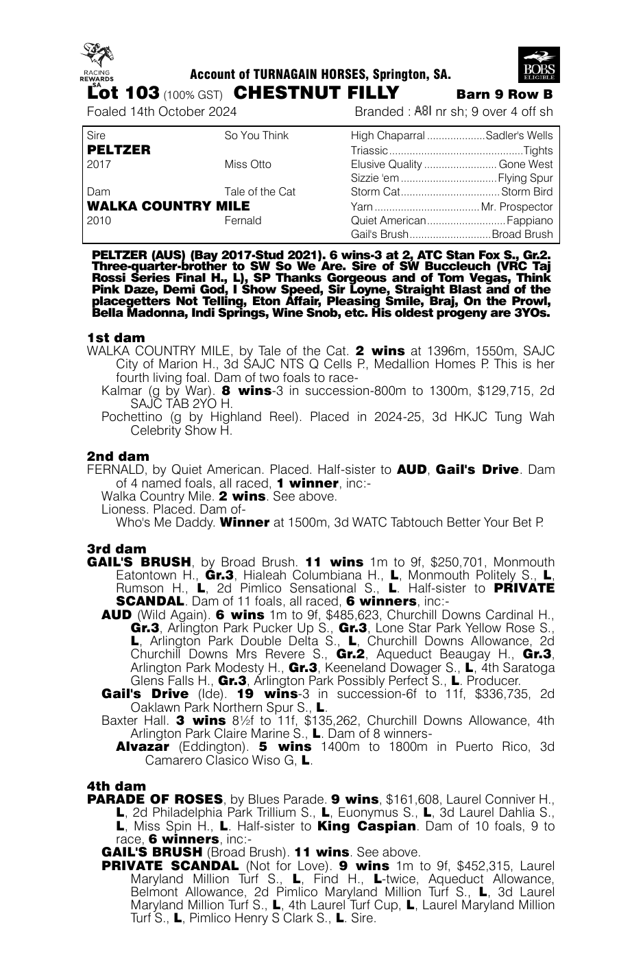 Pedigree - Lot 103