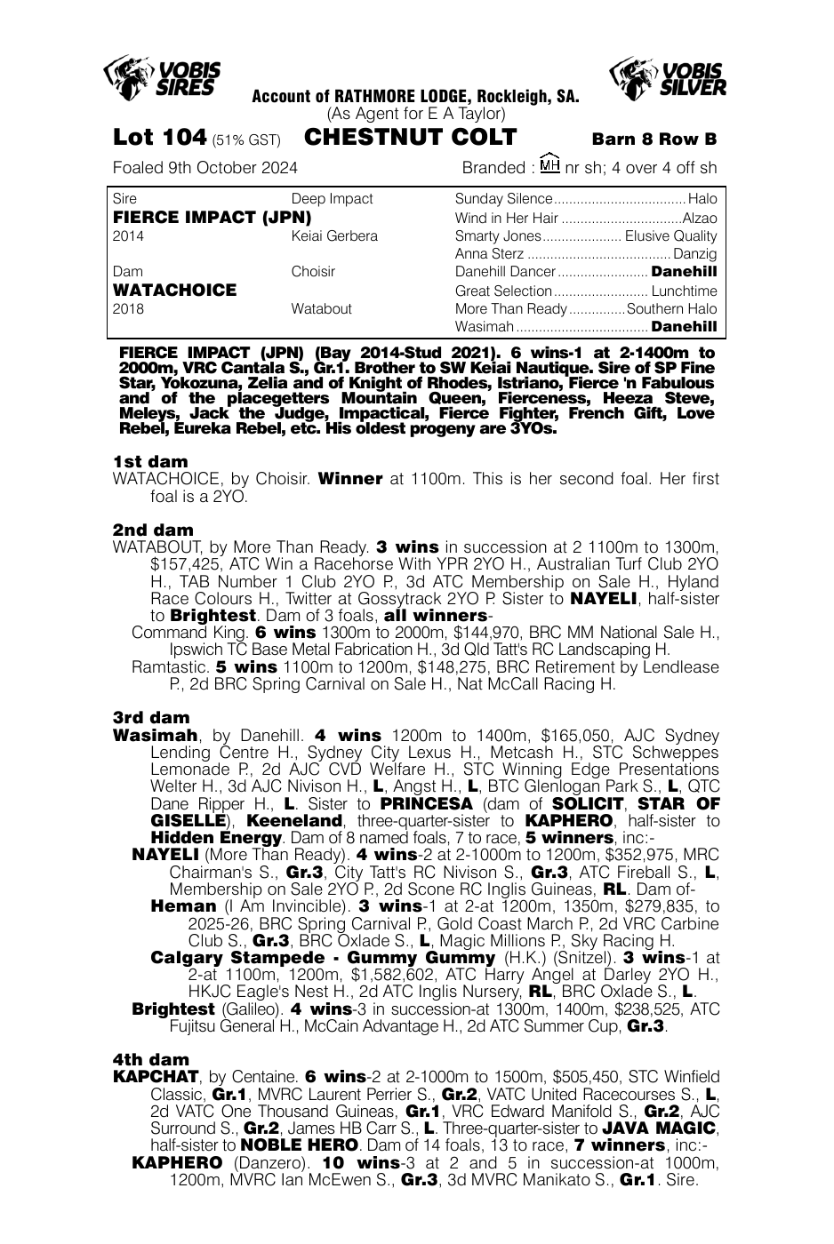 Pedigree - Lot 104