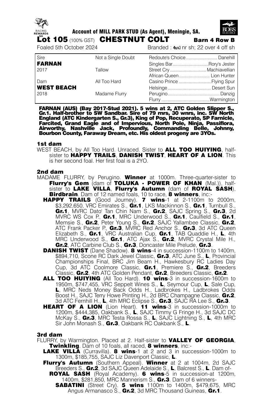 Pedigree - Lot 105
