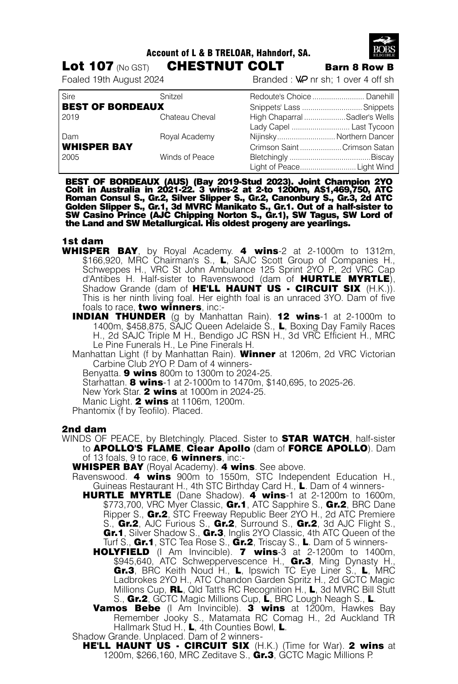 Pedigree - Lot 107