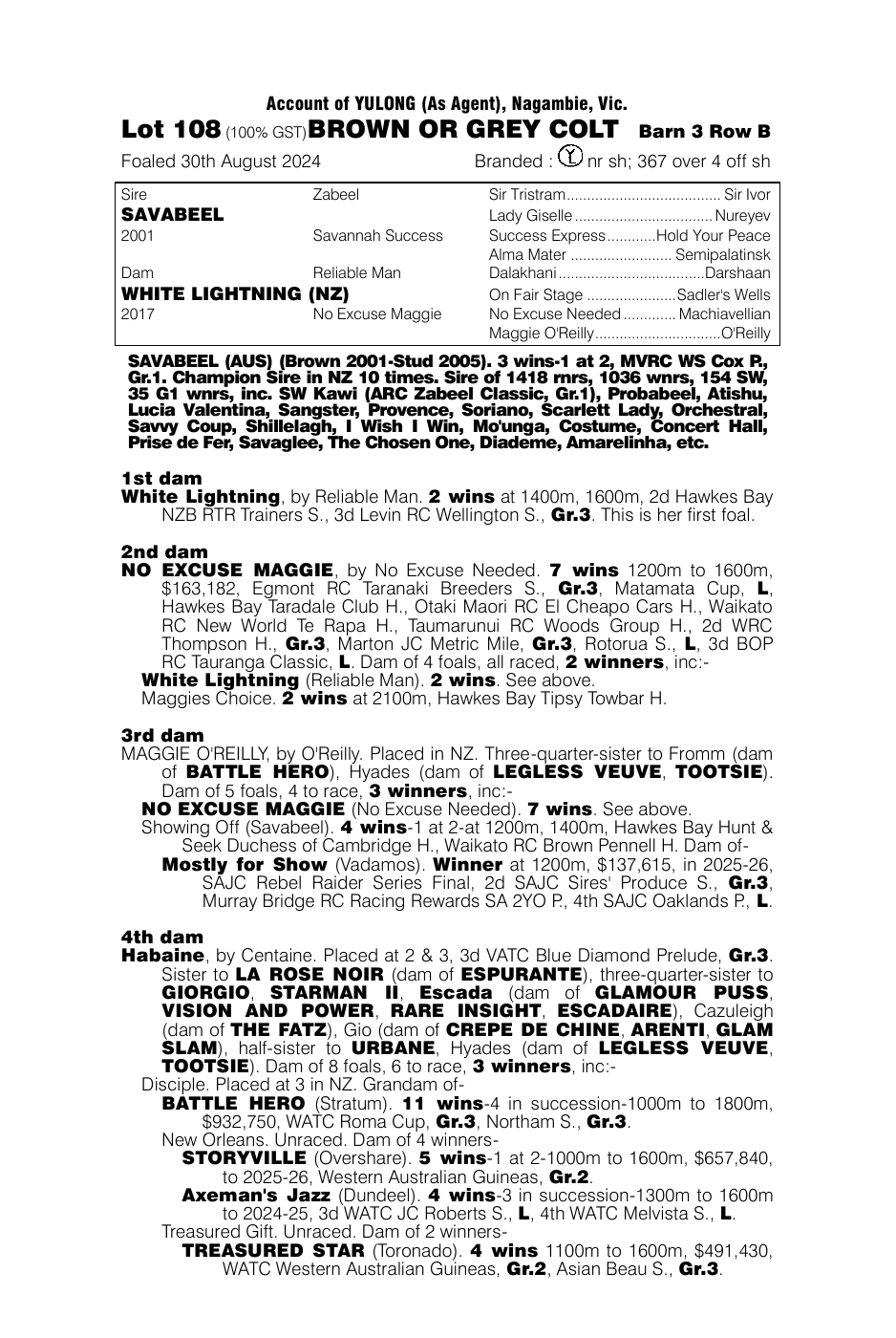 Pedigree - Lot 108