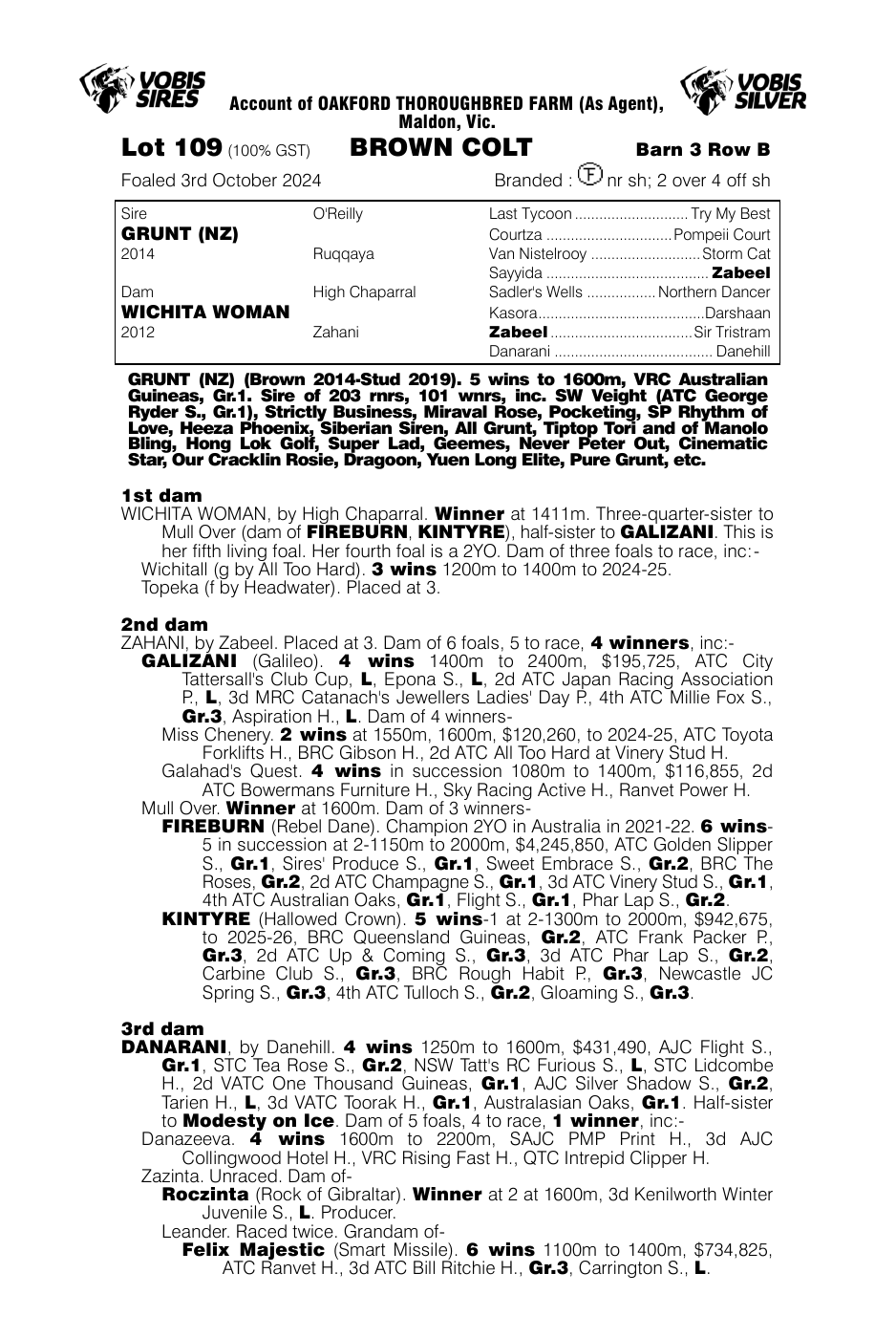 Pedigree - Lot 109