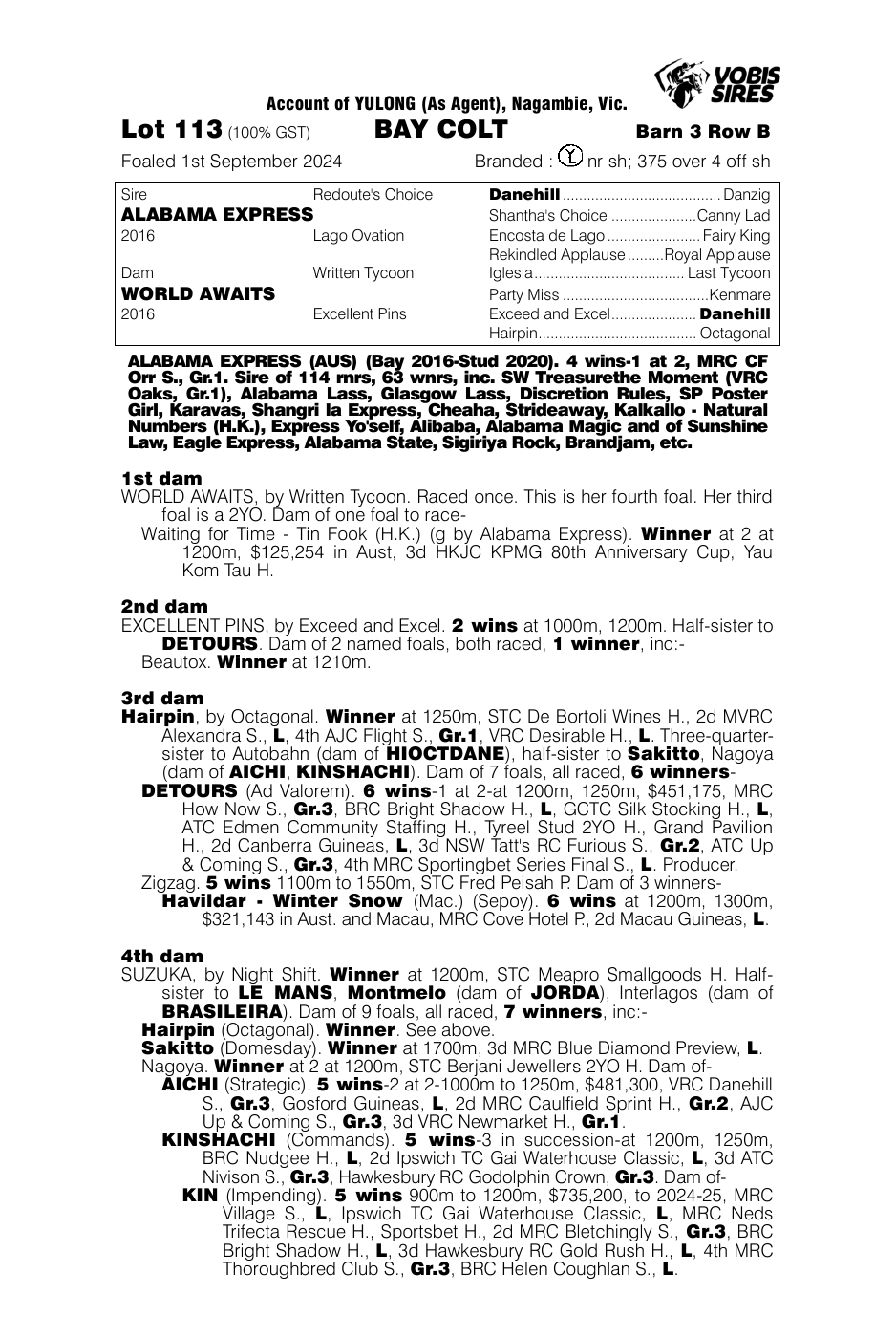 Pedigree - Lot 113