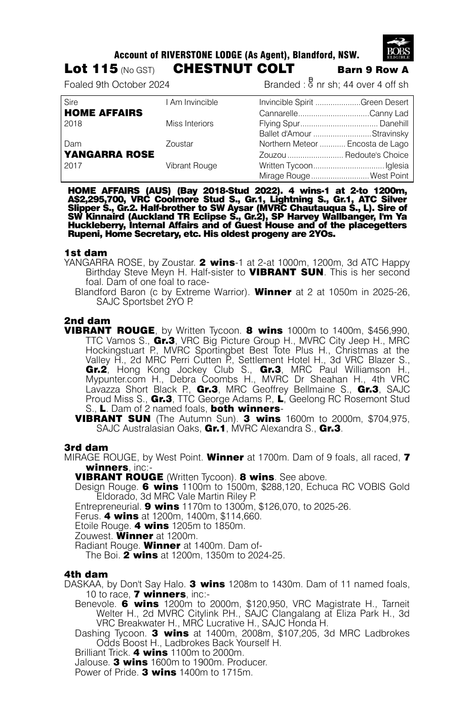 Pedigree - Lot 115