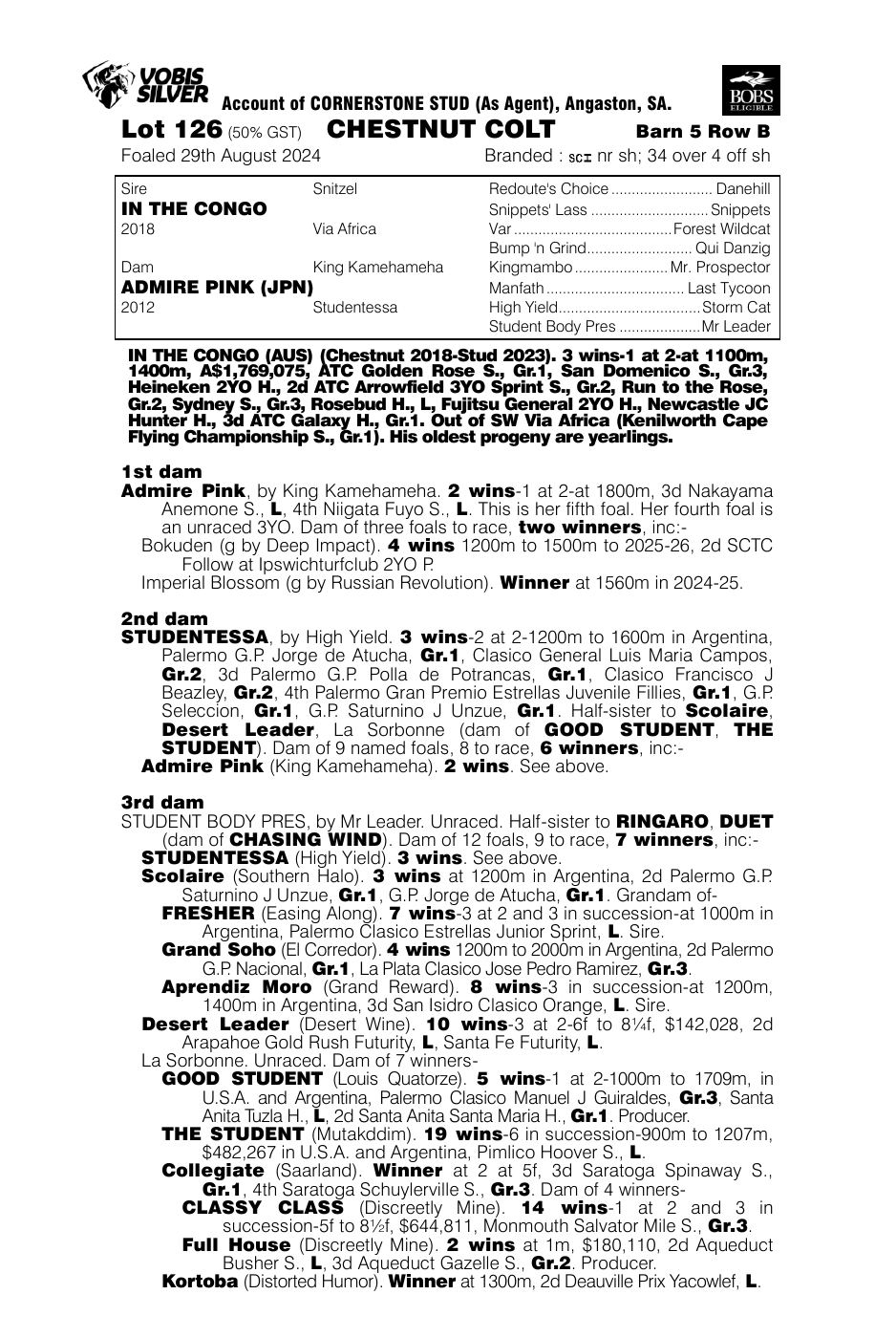 Pedigree - Lot 126