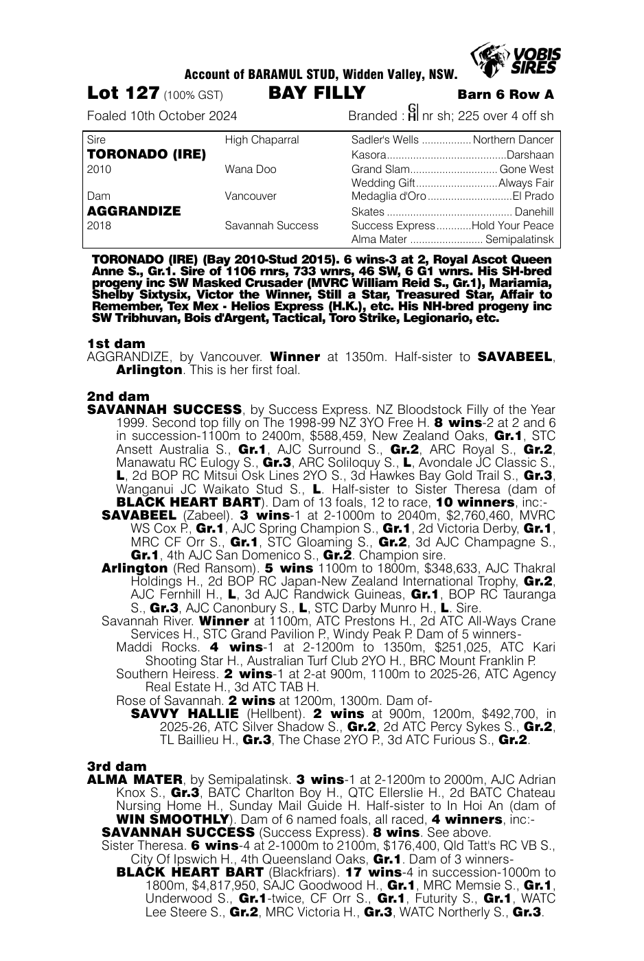 Pedigree - Lot 127
