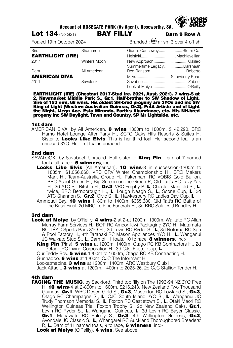 Pedigree - Lot 134