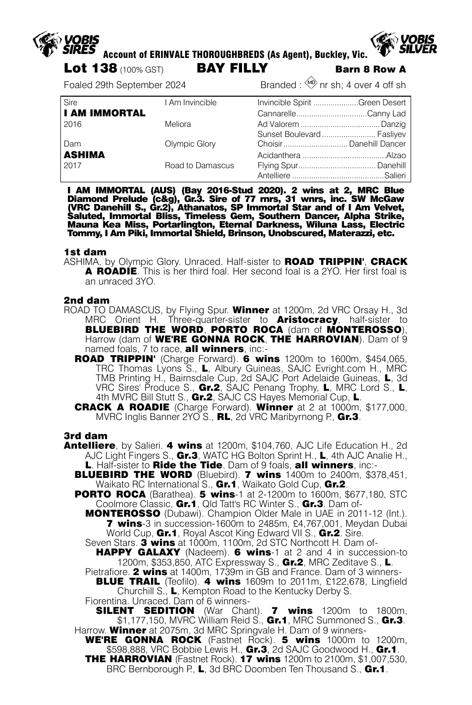 Pedigree - Lot 138