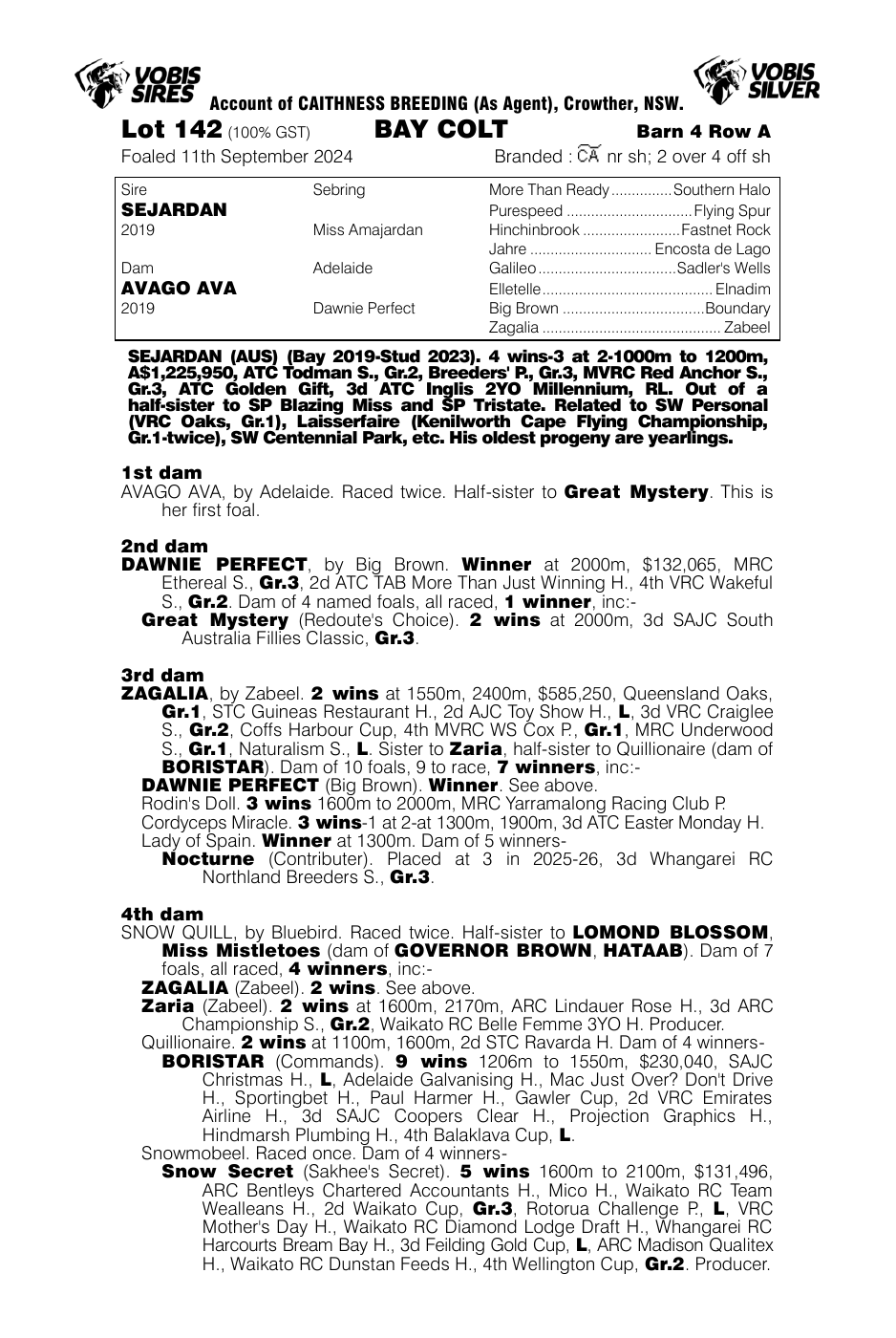 Pedigree - Lot 142