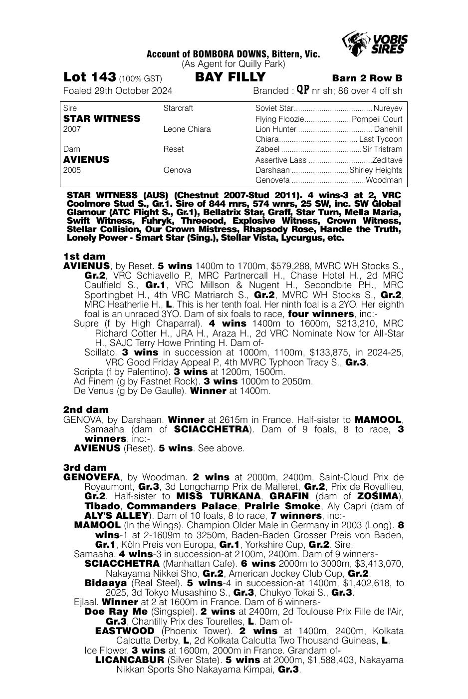 Pedigree - Lot 143