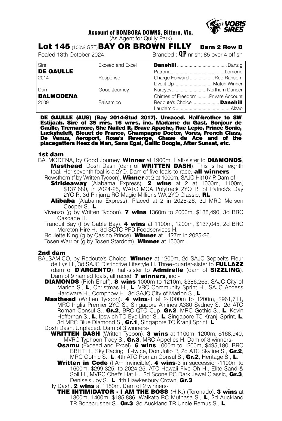 Pedigree - Lot 145