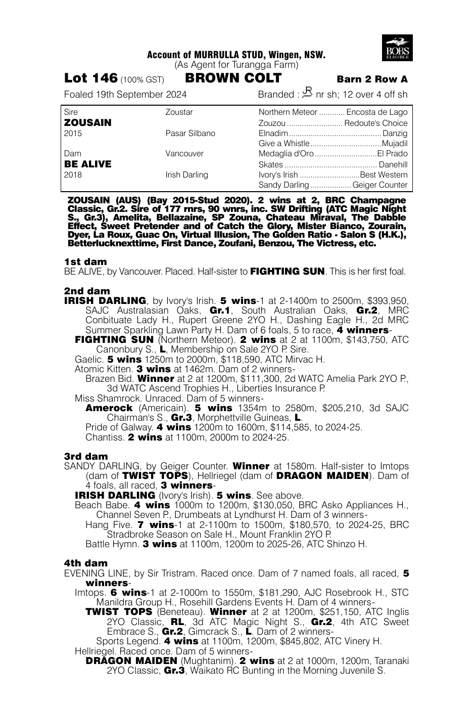 Pedigree - Lot 146